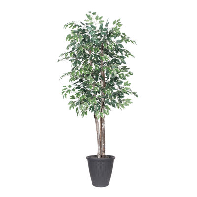 Ficus artificiel 72 po en pot