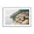 Polished Chrome Single Picture Framed is unavailable