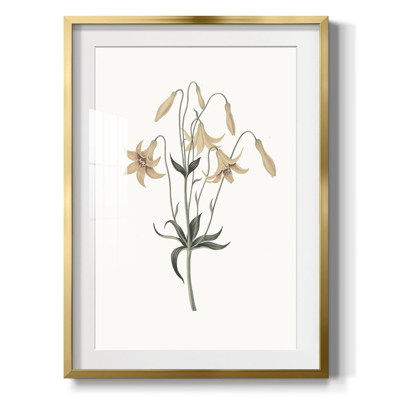 Imprimé floral rétro CL XXVII - impression encadrée, Or