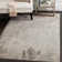 Chantae Performance Oriental Rug