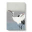 Two White Cranes by Ohara Koson - Wrapped Canvas-55372304