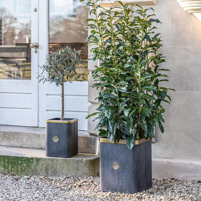  Pot Planter
