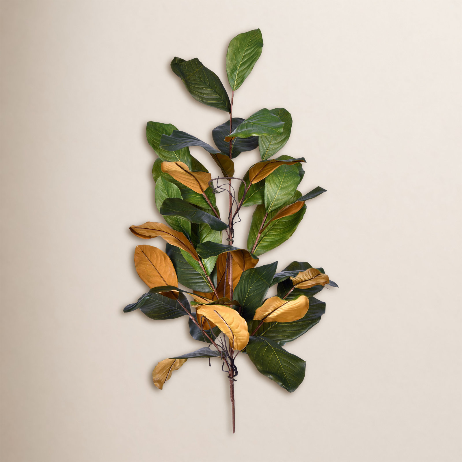 Magnolia Floral Stems