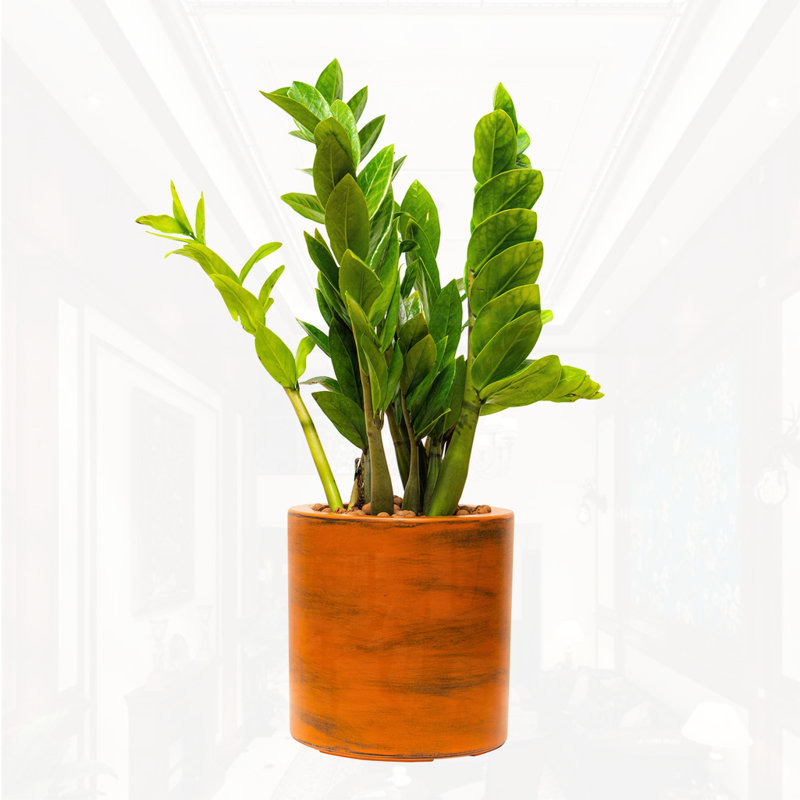 Painted Plastic Self-watering Planter Pot