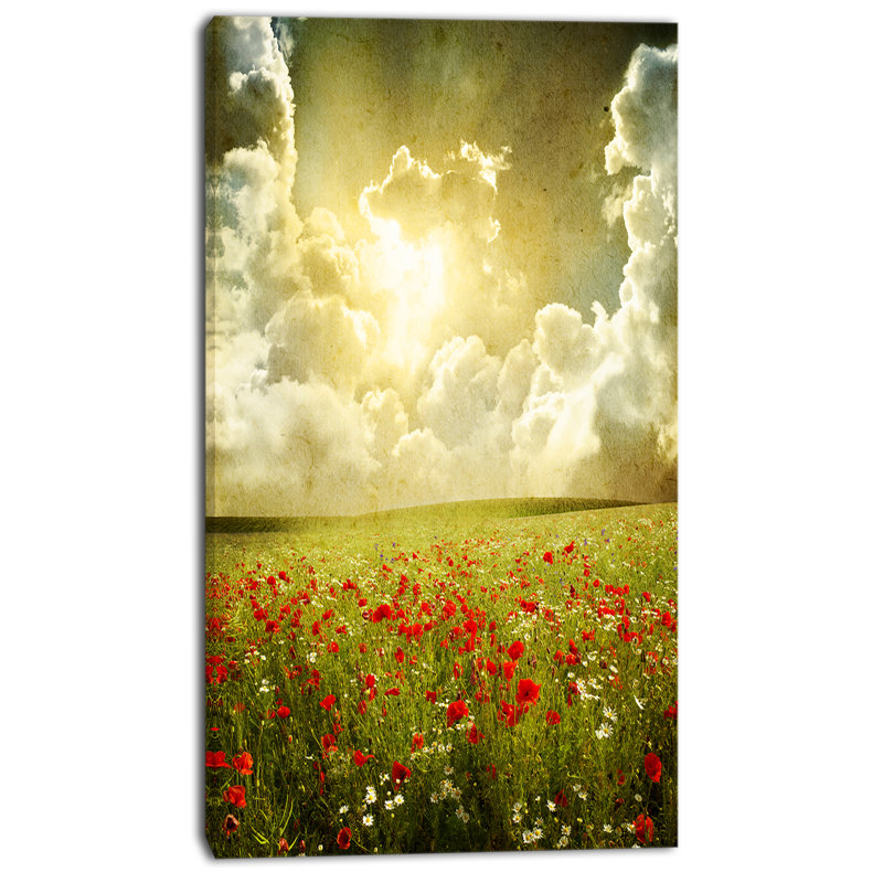 Coquelicots sauvages sur fond nuageux - reproduction de photo sur toile tendue, H 60 po x l 28 po x P 1,5 po