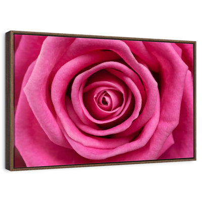 Hot Pink Rose