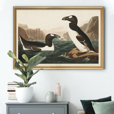Great Auk - reproduction d'art sur toile