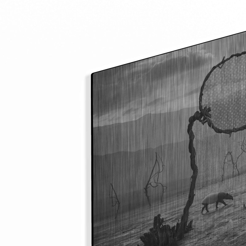 " Tapir " by Dariusz Klimczak, 12" H x 12" W