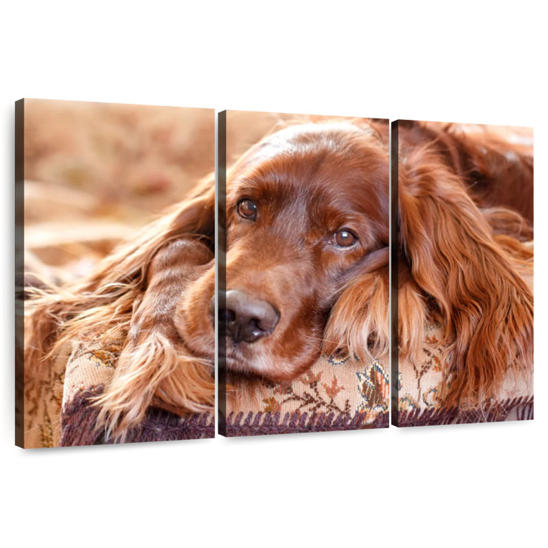 Brampt Sweet Irish Setter Dog, 28" H x 45" W