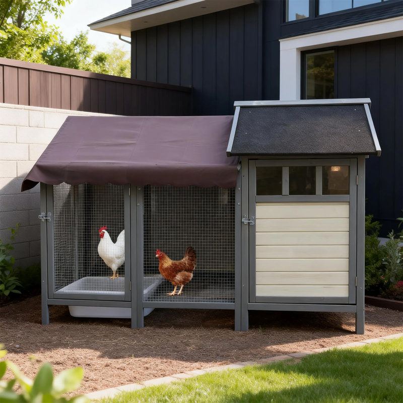Grand poulailler en bois pour 3 à 5 poulets avec couvercle amovible et conception facile à nettoyer