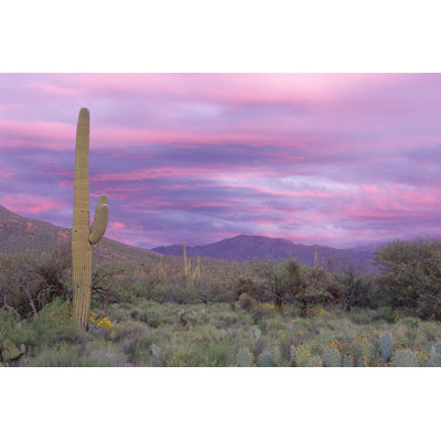 Ciel rose au canyon Sabino par Cay-Uwe