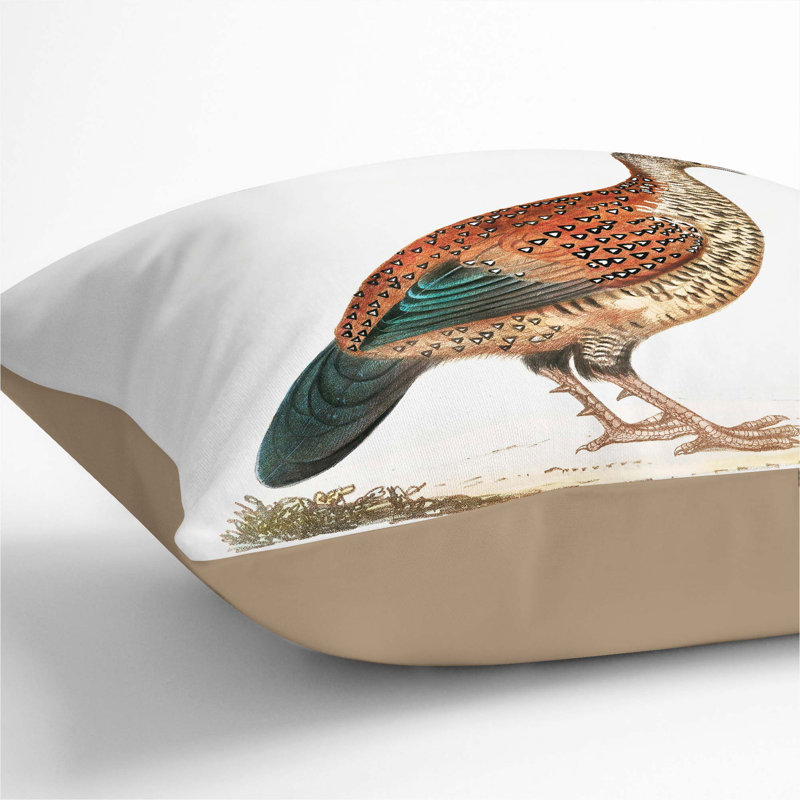 Curria Partridge Illustration Square Throw Cushion, 40cm H x 40cm W x 15cm D, Stone
