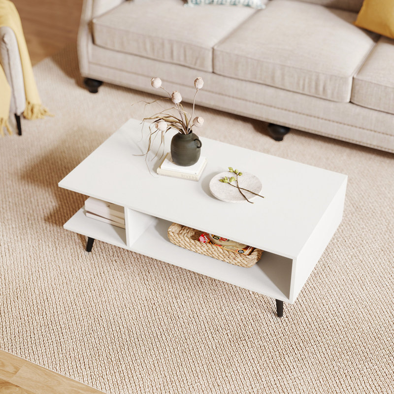 Coffee Table with Storage