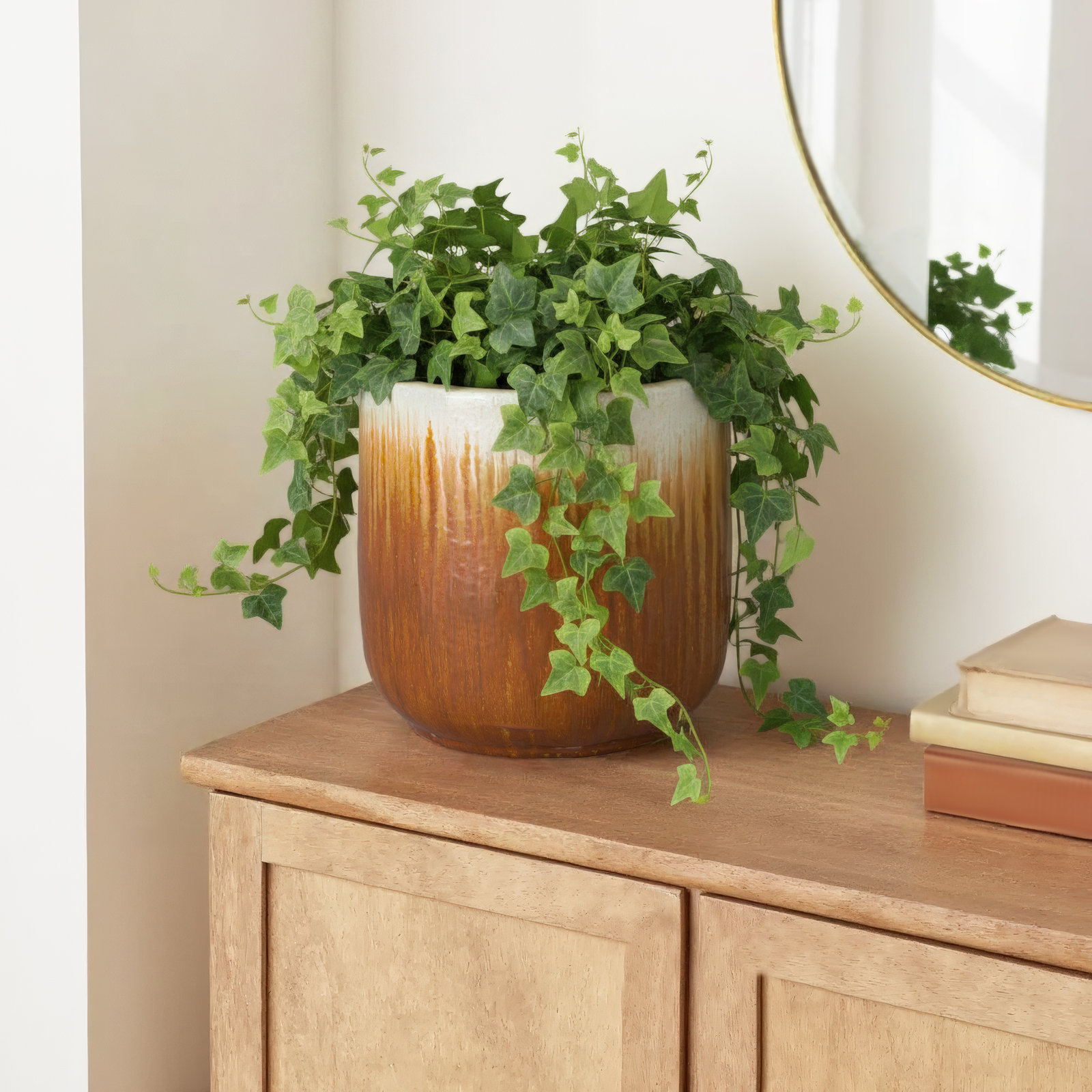 Janaesha Ceramic Pot Planter, 16" H x 15" W x 15" D