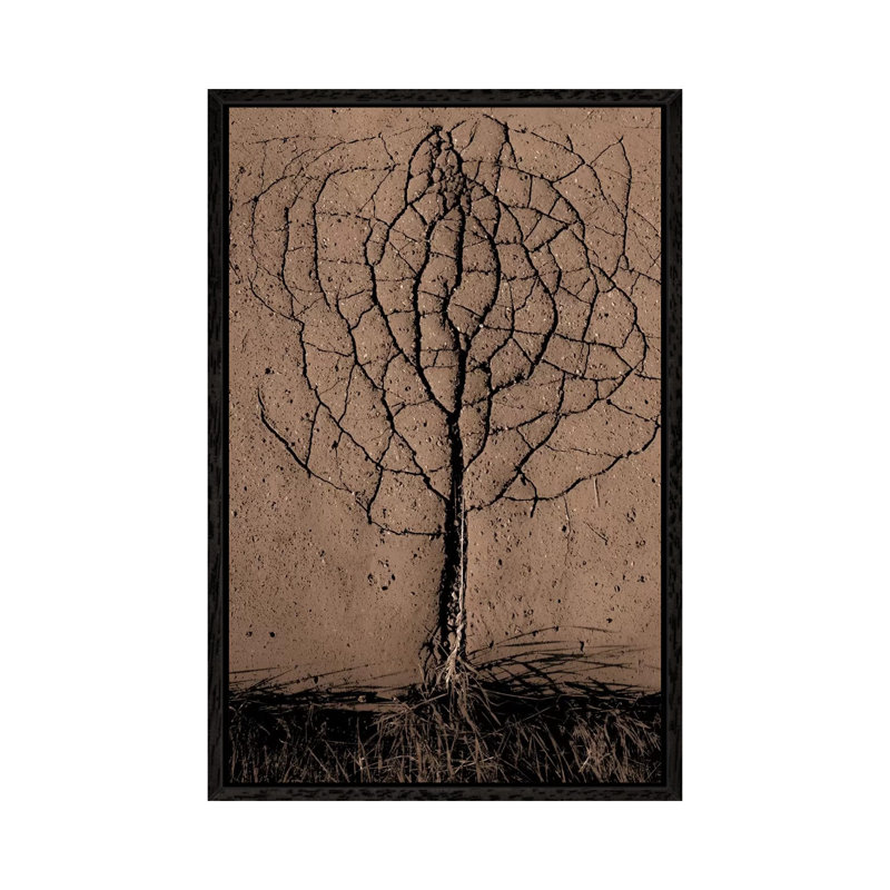 Asphalt Tree by Rasto Gallo - Print on Canvas, 66.04 cm H x 45.72 cm W, Black Framed