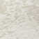  Aleg Area Rug
