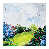 Wrapped Canvas selected