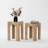 Coffee Table Set-1064921946