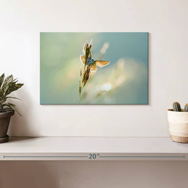 Brampt Icarus Butterfly, 8" H x 12" W