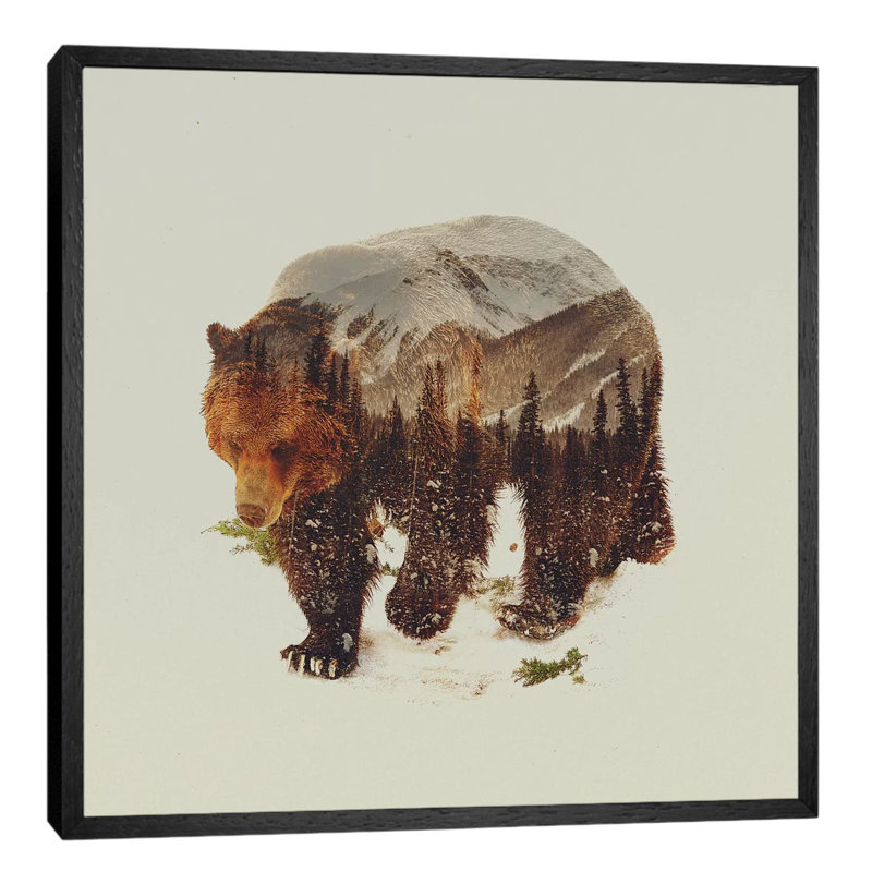 Bear I by Andreas Lie - Print on Canvas, 66.04 cm H x 66.04 cm W, Black Framed