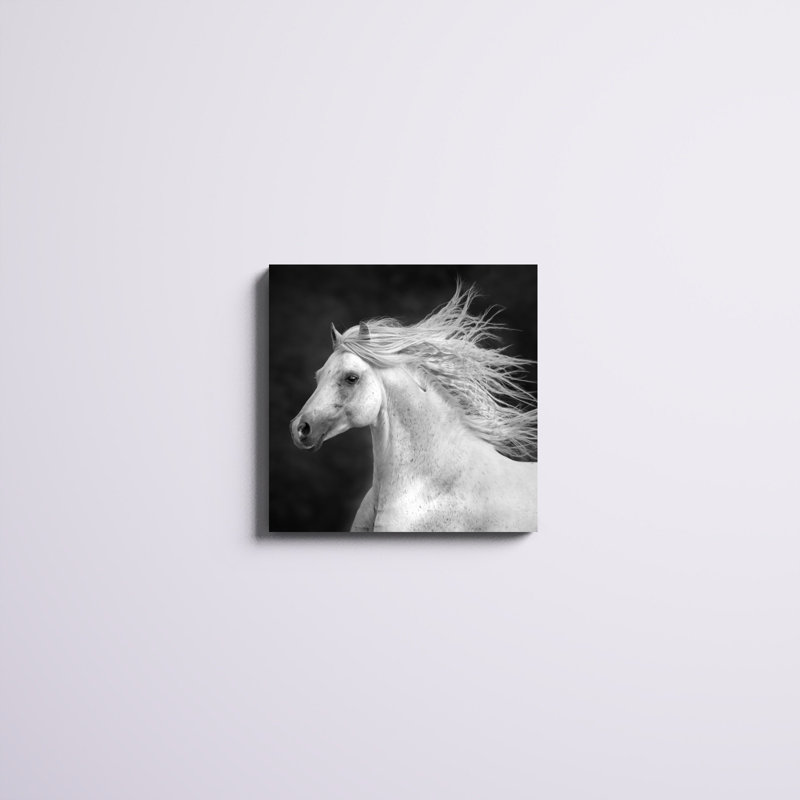 "B&W Horses IV" par PHBurchett, impression sur toile, H 20 po x l 20 po x P 1,25 po, Toile tendue