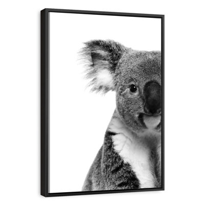 Lovable Koala Bear