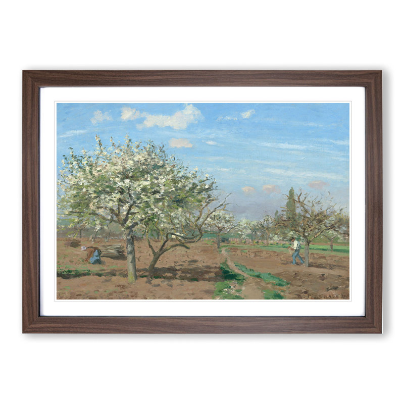 Orchard in Bloom by Camille Pissarro - Framed Print, Walnut Framed, 27cm H x 36cm W x 2cm D
