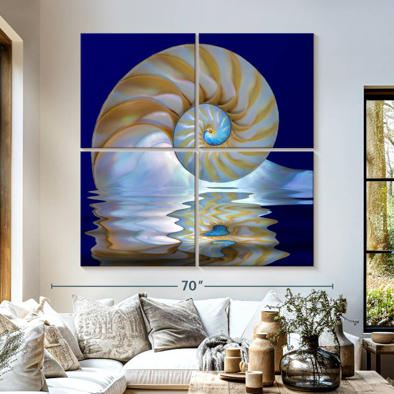 Aletra Nautilus Shell On Water