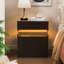 LED Bedside Table Set of 2 with Drawers-1386692342