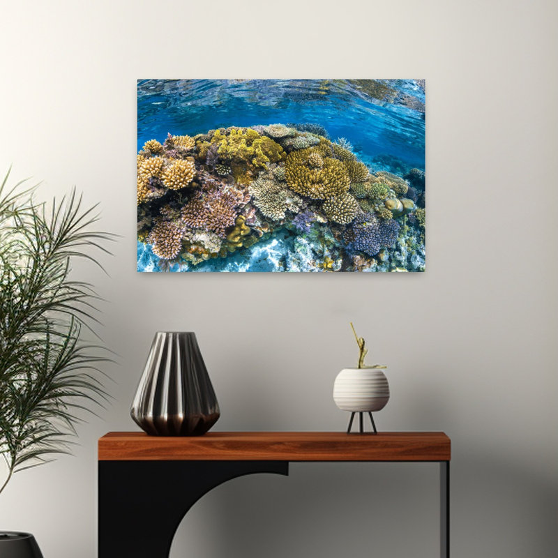 Impression murale Panoreef Ocean Tropical, H 16 po x l 24 po