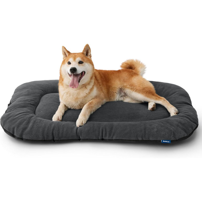 Pet Bed