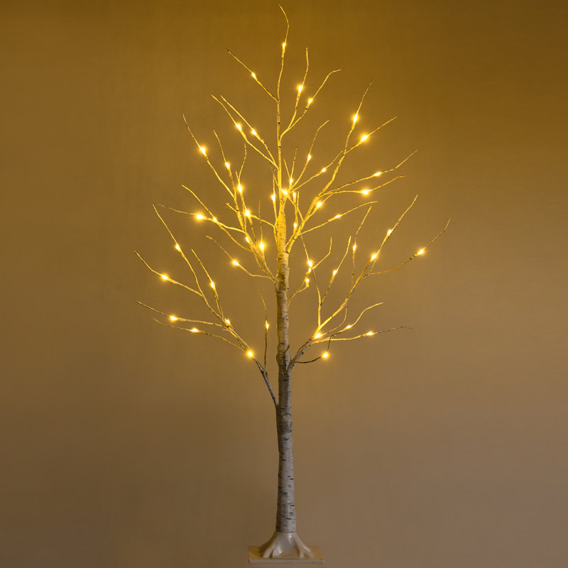 Lighted Christmas Tree