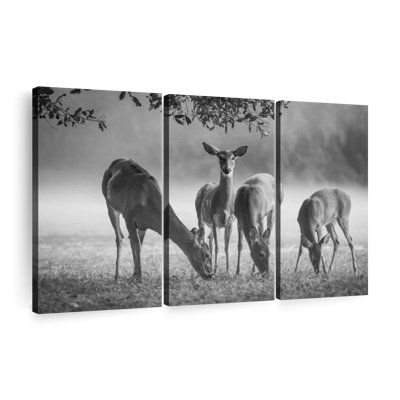 " Vigilant Grazing Deer " on