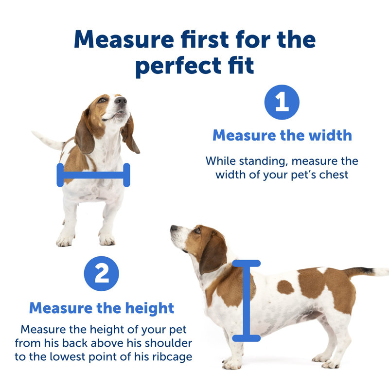 PetSafe® Freedom Aluminum Pet Door, X-Large, White, X-Large - 23.75" H x 13.75" W