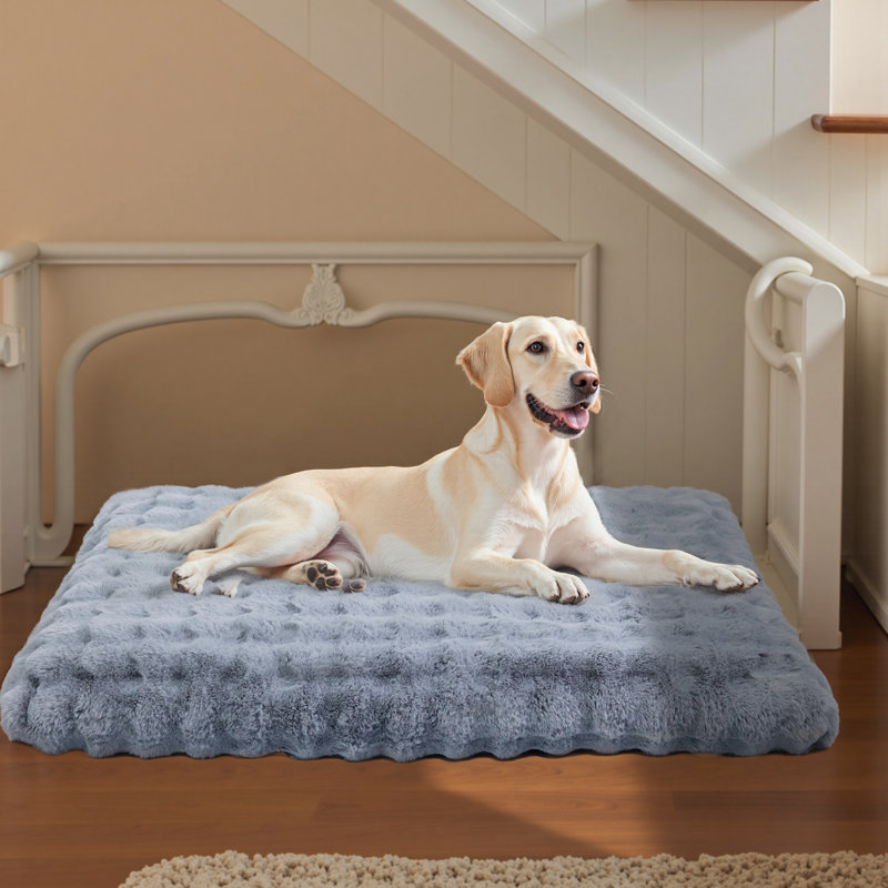 Dog Bed, 12cm H x 130cm W x 110cm D, Grey