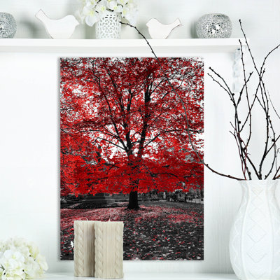" Red Tree In Central Park "