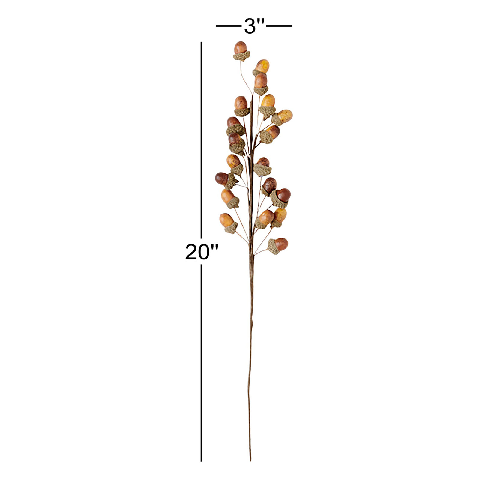 Acorn Floral Stems