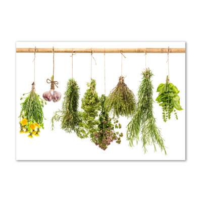 Herbs on a String 1 Piece Wrapped Canvas Wall Art