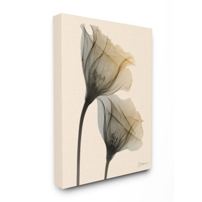 «Neutral Light Flower» par Albert Koetsier - reproduction de photo