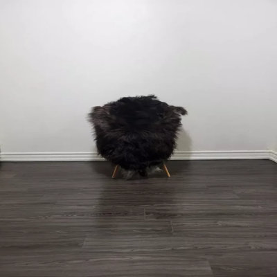 Shivin Rug