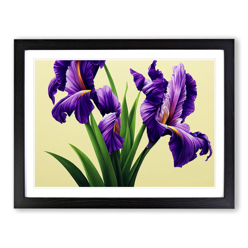 Contemporary Iris Flowers - Framed Print, 34cm H x 46cm W x 2cm D, Black