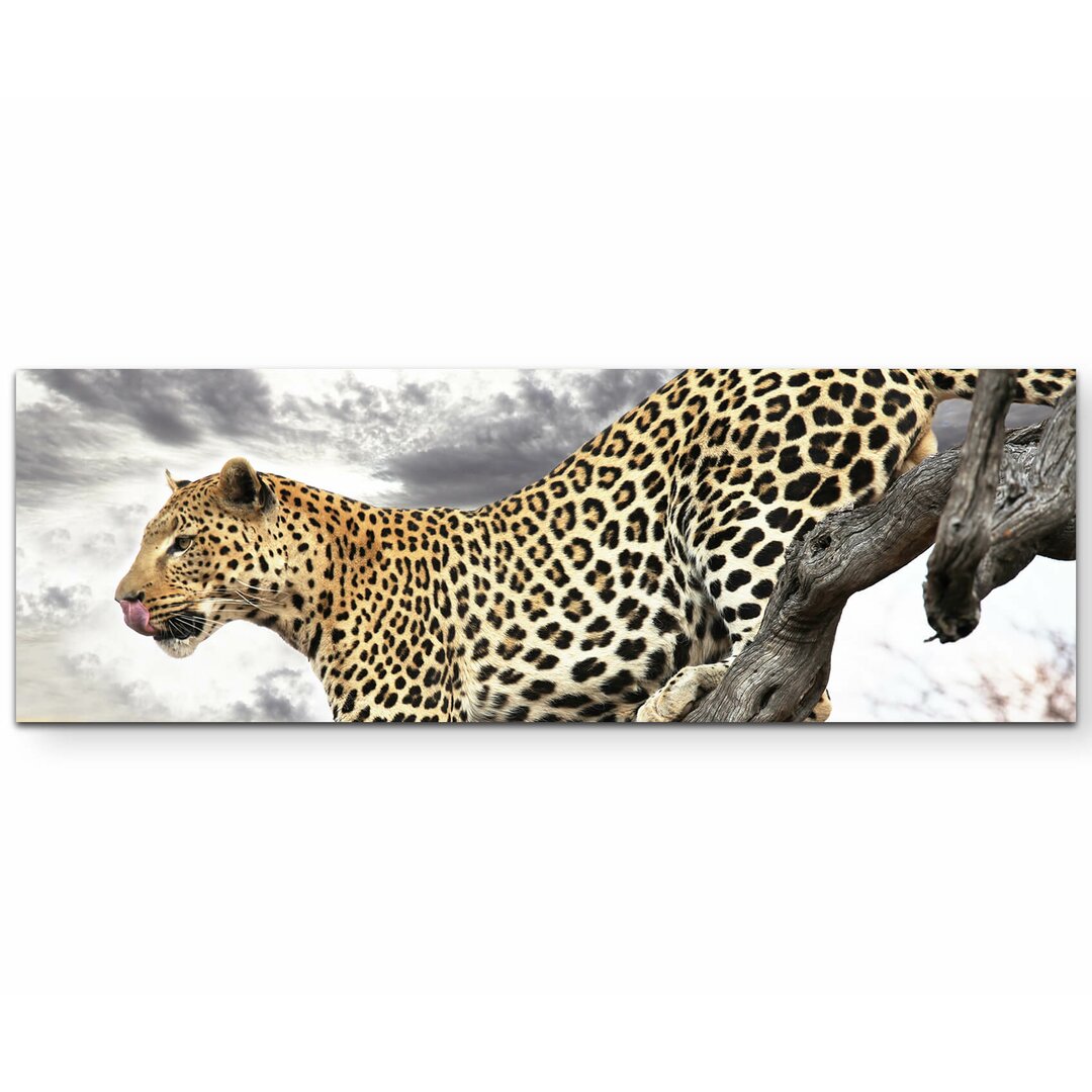 Leinwandbild Leopard auf der Jagd