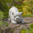 Hamlan Pig Weather Resistant Concrete Garden Statue
