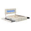 Cedricka Upholstered Storage Bed-1379911424