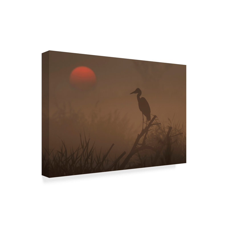 « a brand new day », reproduction de photo sur toile tendue, H 12 po x l 19 po x P 2 po