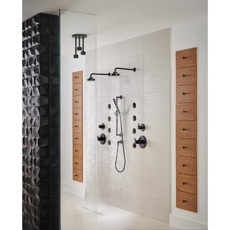 Essential™ Ceiling Mount Pendant Raincan Showerhead, Matte Black
