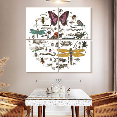 Cercle d'insectes Brampt II brillant