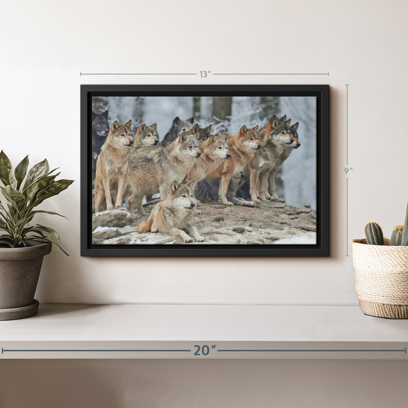 " Wild Wolf Pack ", 13" H x 9" W