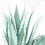 Watercolor Agave Plant - impression florale encadrée pour la décoration intérieure