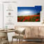 Alvord Lakeside Poppy Field-107889930